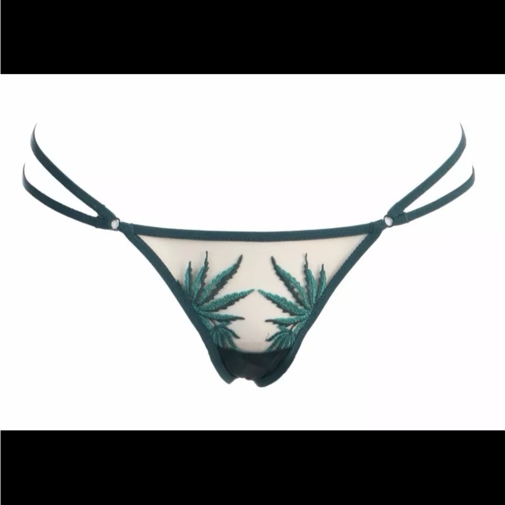 NEW Thistle And Spire Brooklyn Haze Thong Sheer Emerald Biscotti 2x - Picture 4 of 7